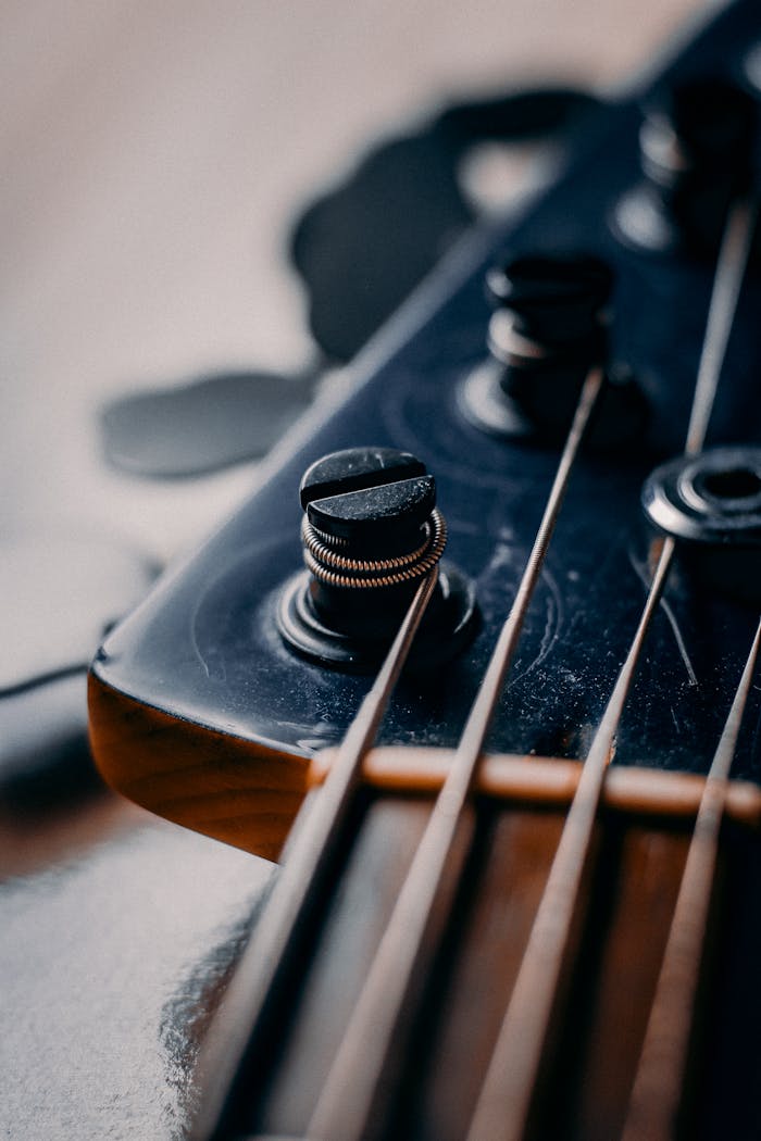 Detailed close-up of bass guitar strings and tuning pegs with artistic focus.